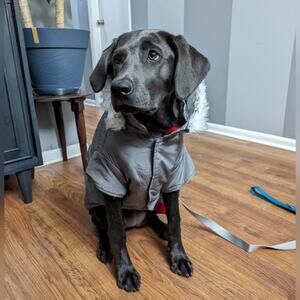 East Side Collection Dog 2 piece Winter Coat